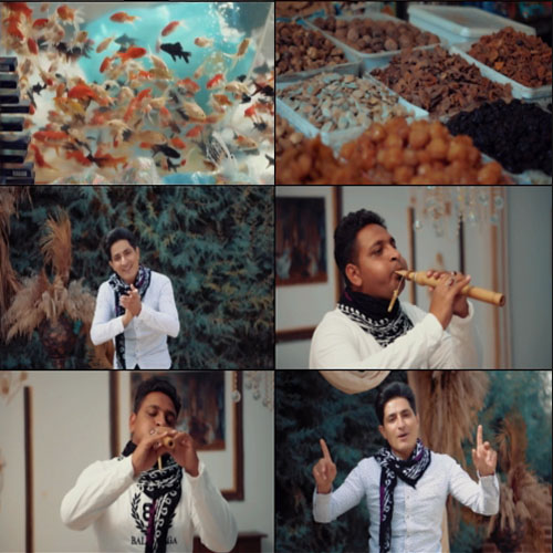 مرتضی شرفی سال نو